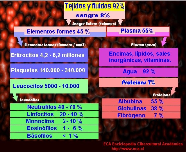 que son los monocitos mm3